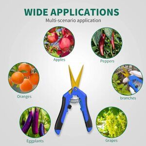 6.5" Gardening Scissors Hand Pruner Pruning Shears with Titanium Coated Curved